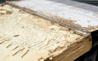 Digitise or Disappear – Saving Our Historic Headlines